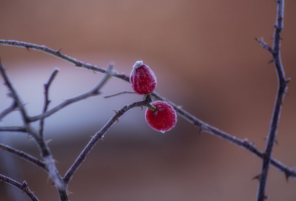 Photograph by Leanid Kulpo