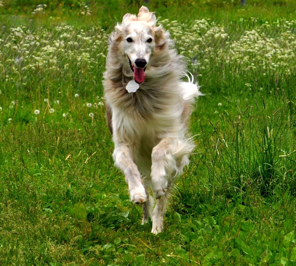 Навстречу...