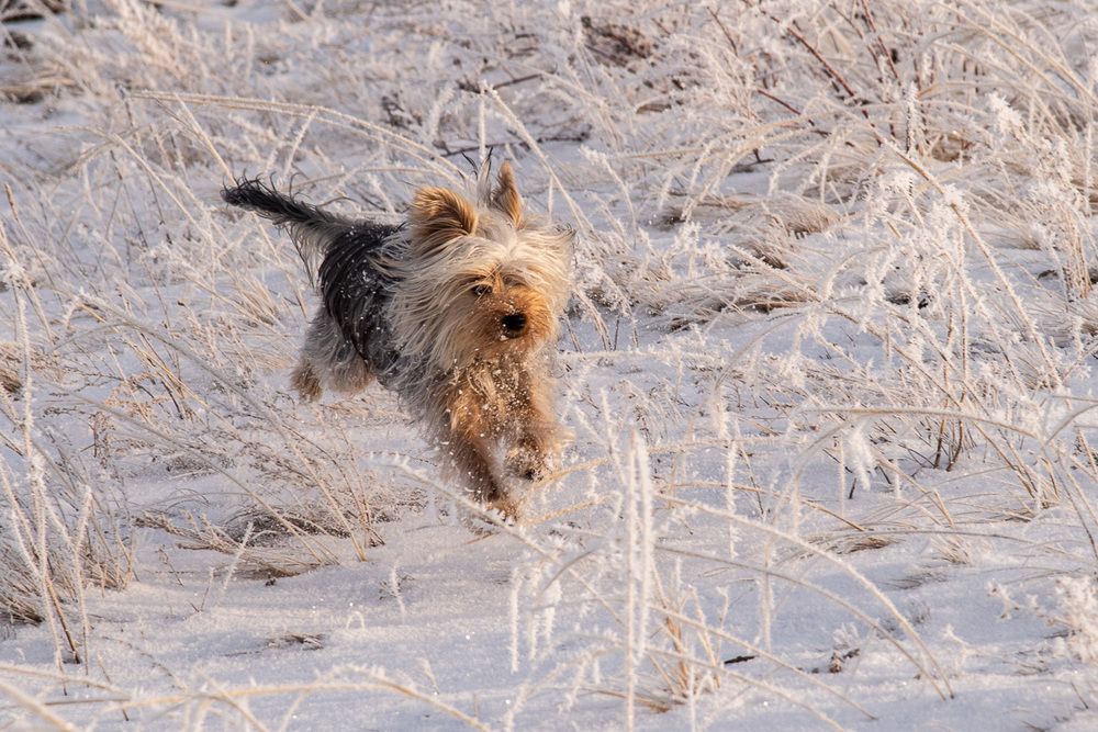 Photograph by Ирина Яук