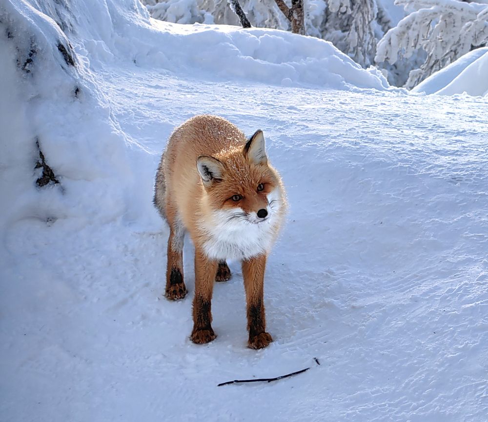 Фотография автора Кухта Мария