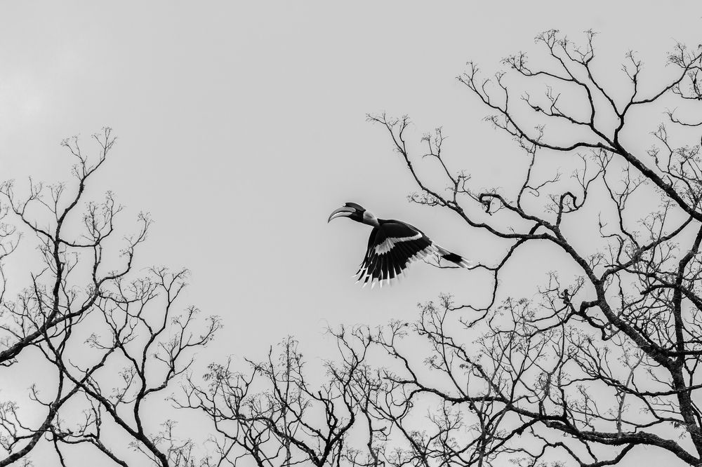 Фотография автора Anandhu M