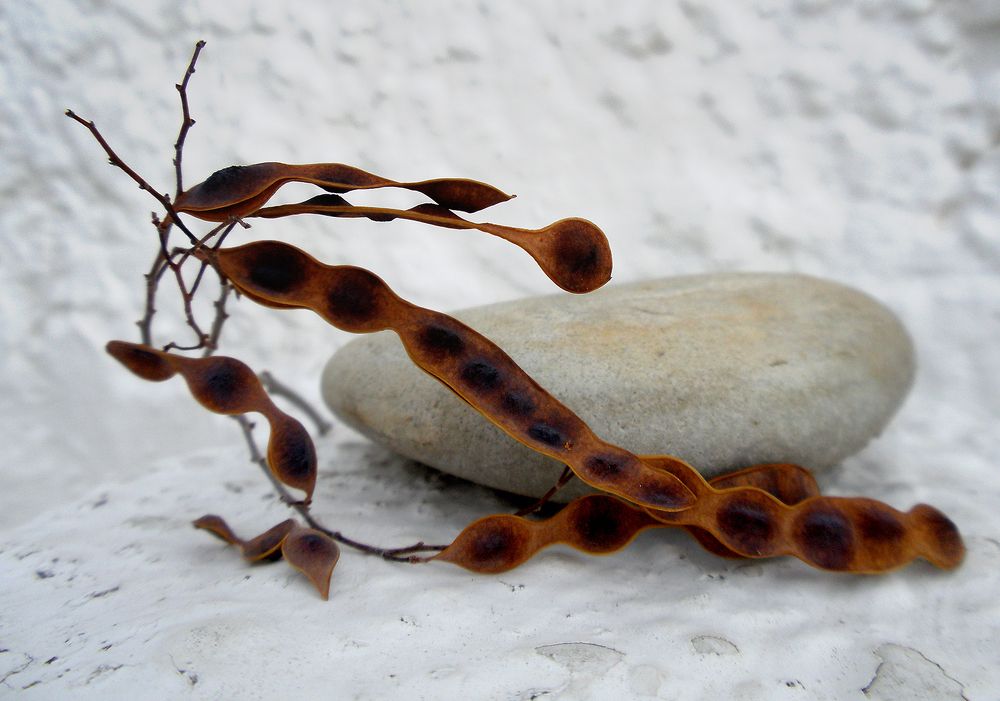 Неподъемная ноша