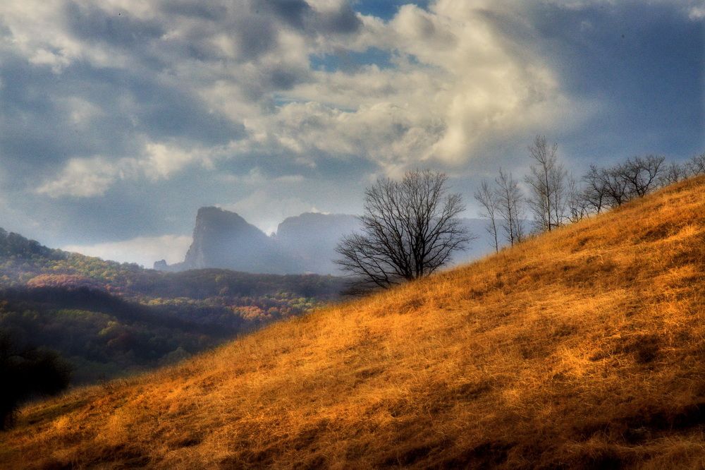 Photograph by  Владимир
