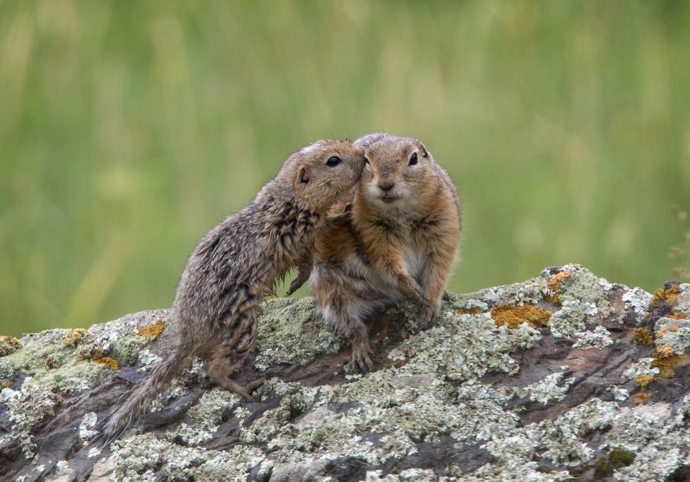 Photograph by Дмитрий Юдин