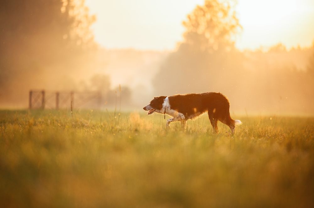 Photograph by Мария Ананьева
