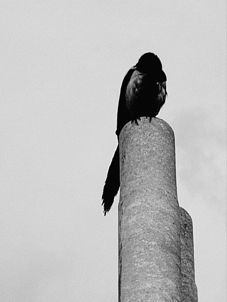 Photograph by Куделенко Оксана