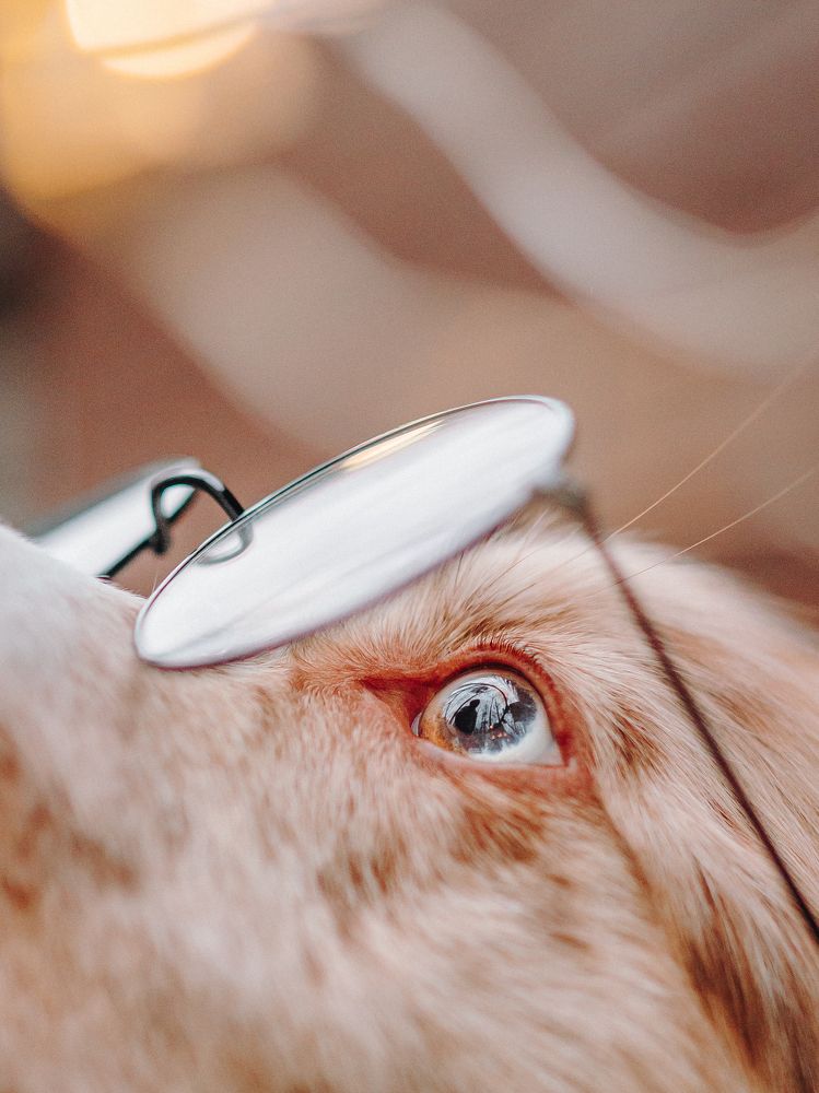 Photograph by Мария Ананьева