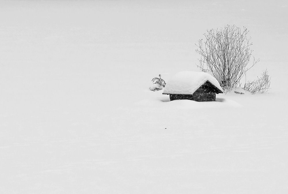 Photograph by Сергей Маслов