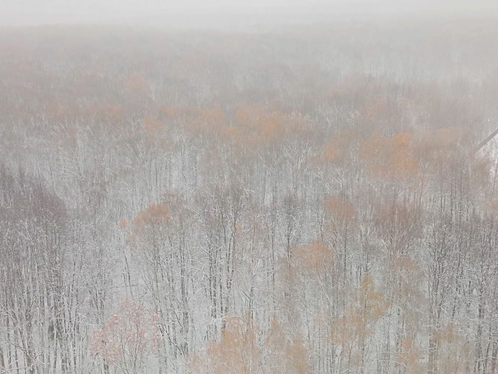 Фотография автора Людмила Куприянова