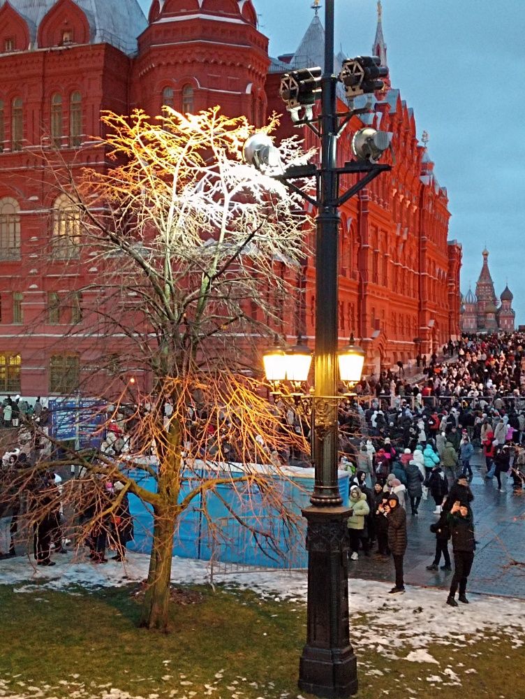 Фотография автора Людмила Куприянова