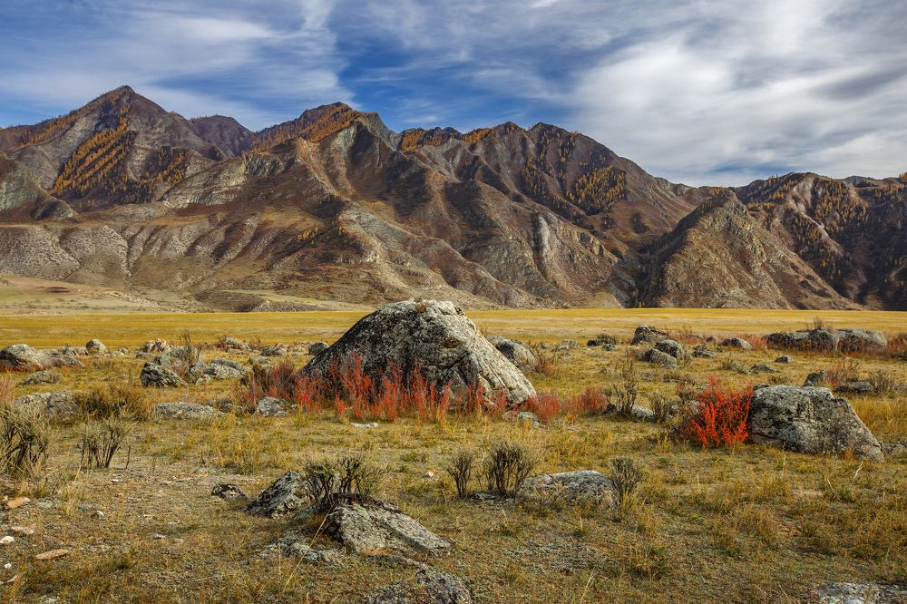 Photograph by Дмитрий Юдин