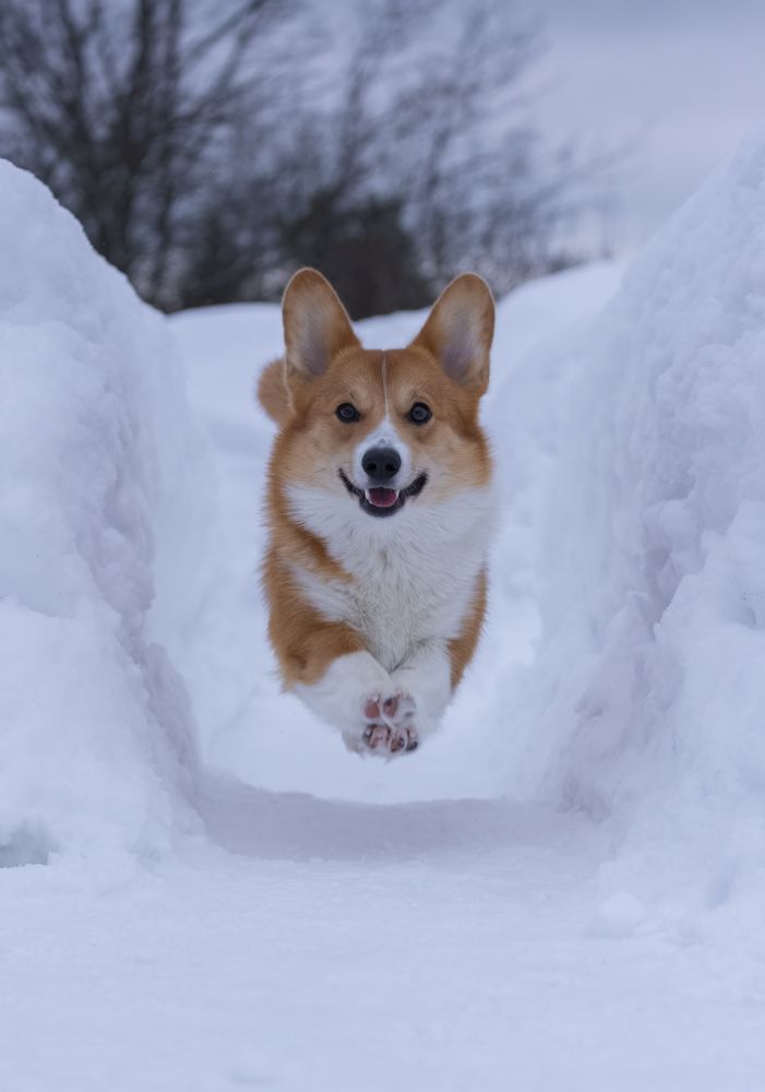 Photograph by Светлана Краюшкина