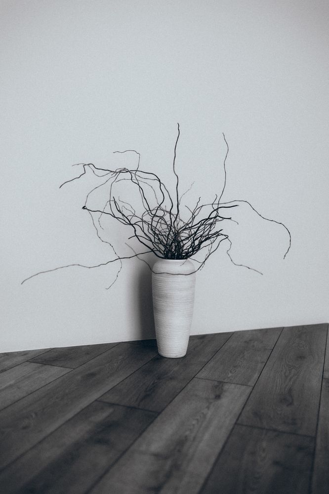 Photograph by Анна Лисина