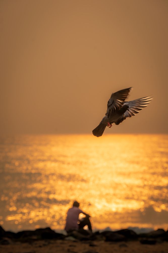 Фотография автора Dinesh Sai Bhaskar