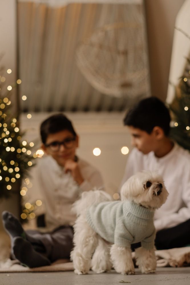 Photograph by Юлия Климцева