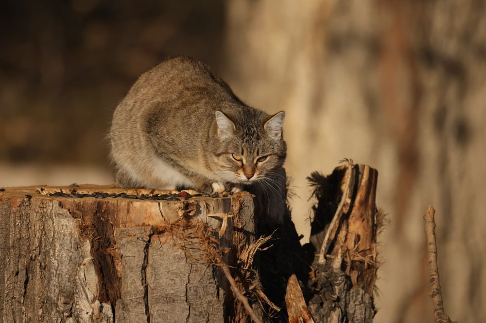 Photograph by Одаренко Ольга