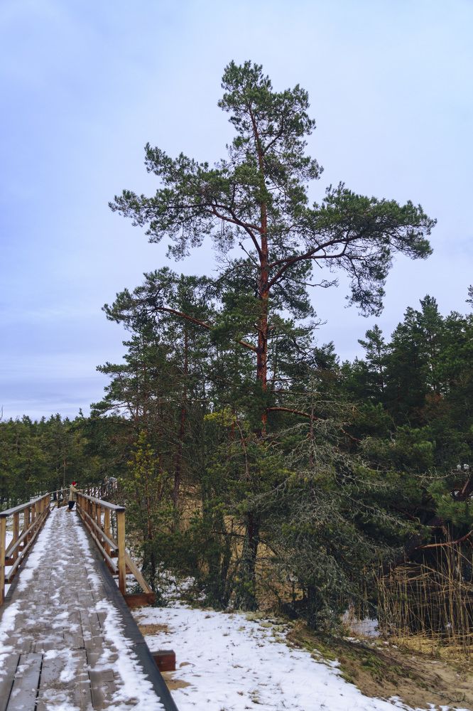 Photograph by Лилия Кондратьева