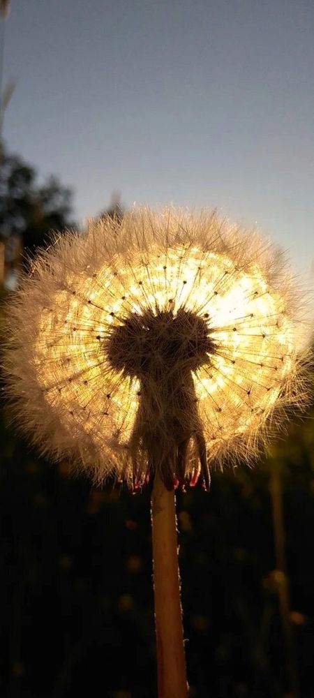 Photograph by Татьяна Исаева