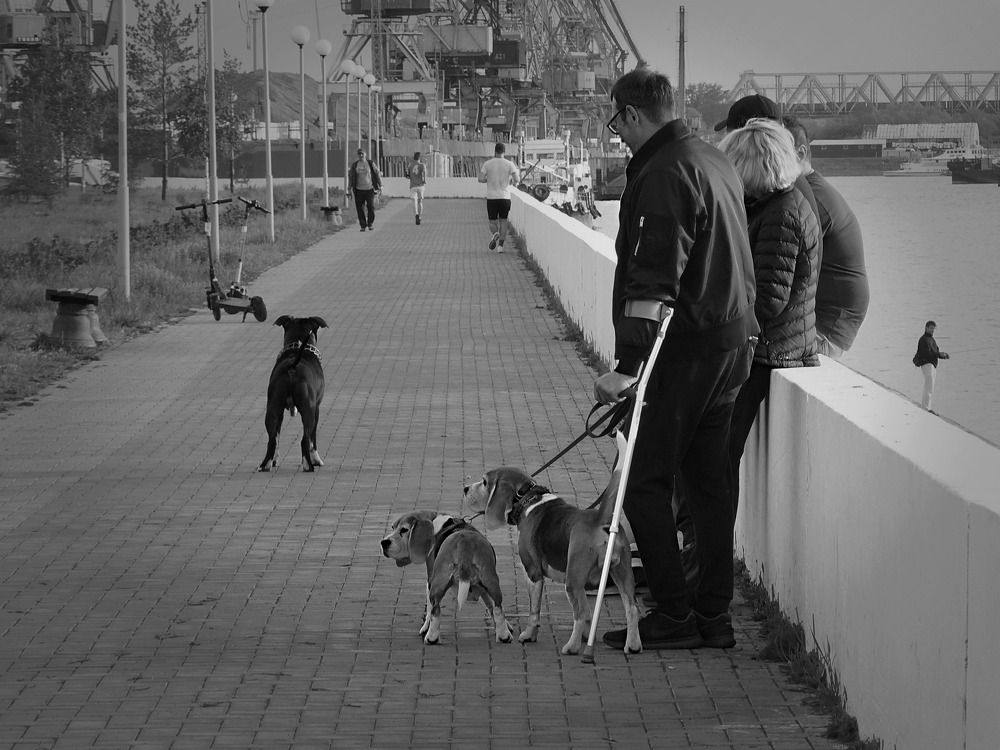 Photograph by Валерий Алфимов