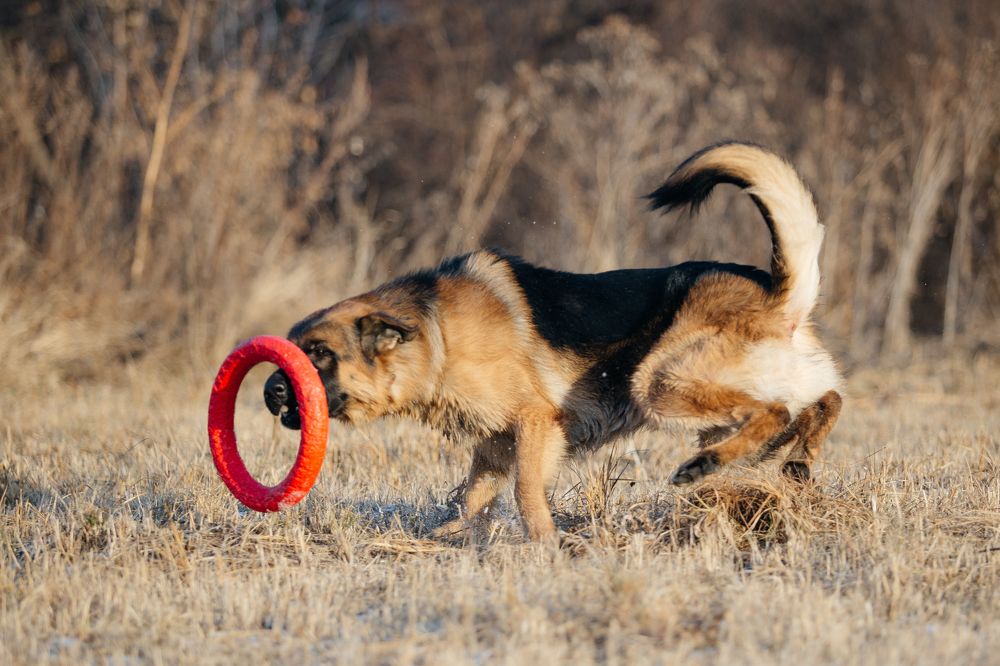 Фотография автора Олеся Евгеньевна