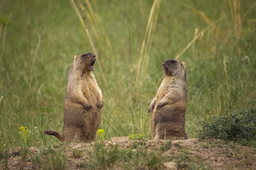 Photograph by Александр Ильин