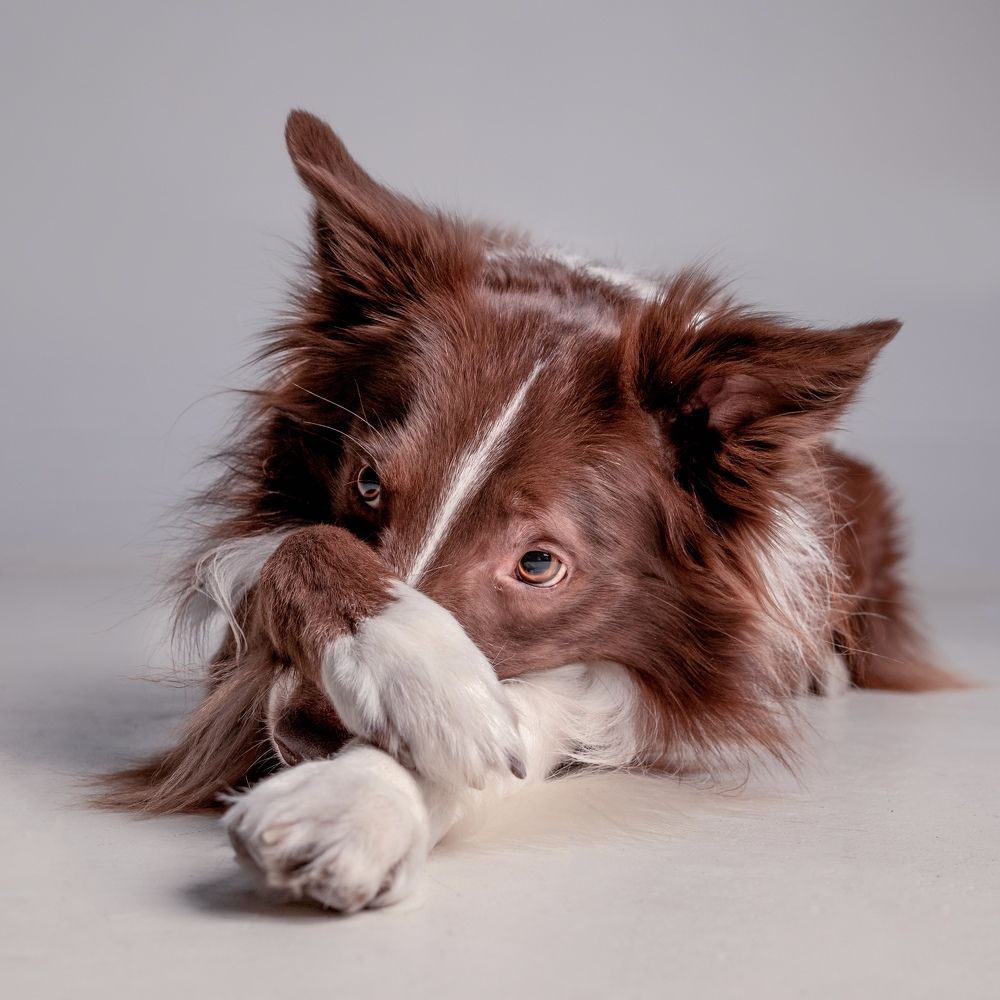 Фотография автора Наталья Якушонок