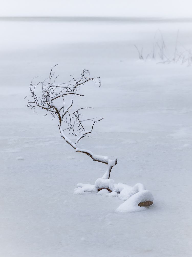 Photograph by Valdis Serzhans