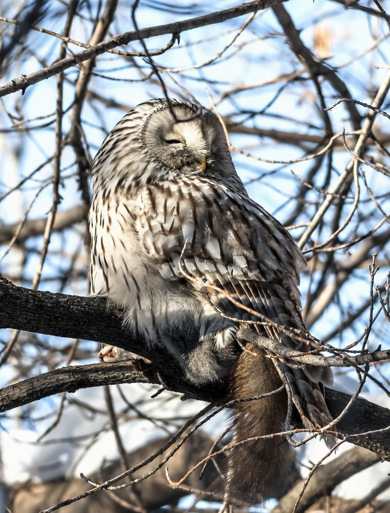 Photograph by Николай Диордиев