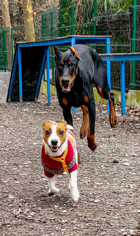 Photograph by Евгений Симион