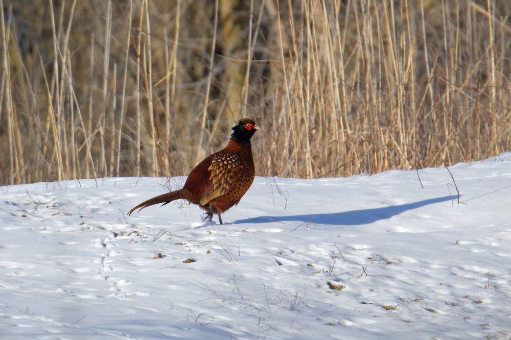 Photograph by Антон Громов