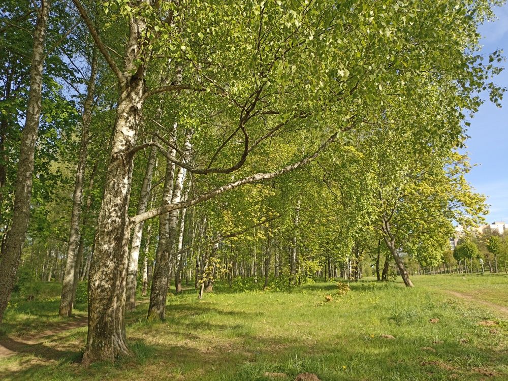 Photograph by Юлия