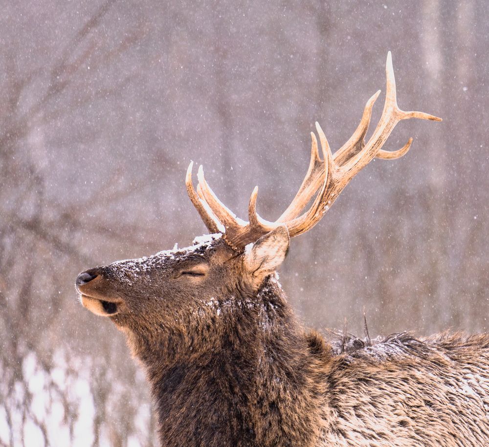 Photograph by Константин Яковлев