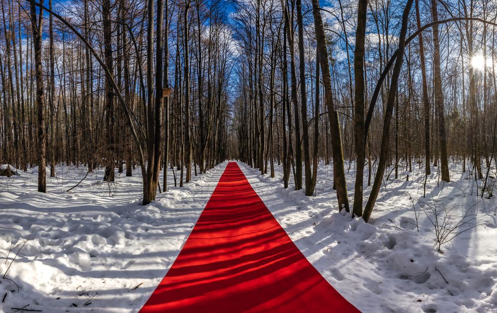 Фотография автора Rom@shkin