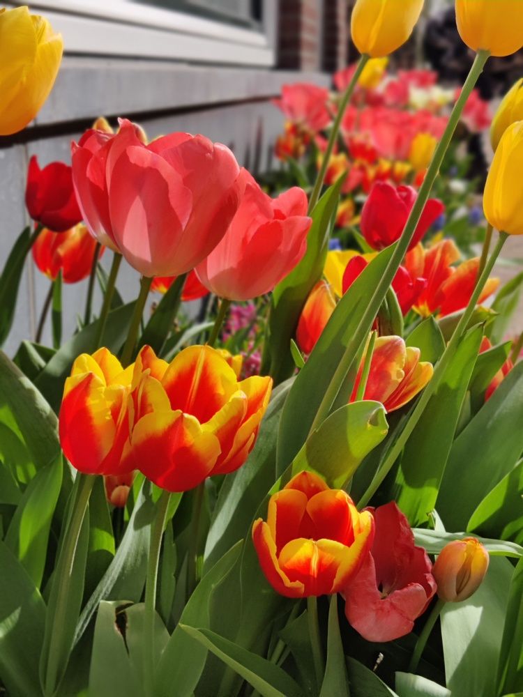 Photograph by Reema Dutta