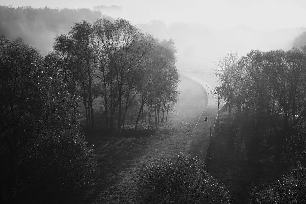 Photograph by Надежда Пухова