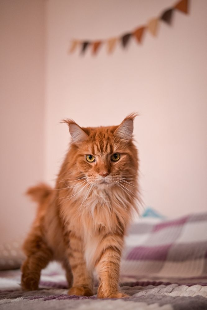 Photograph by Динара Ахмадуллина