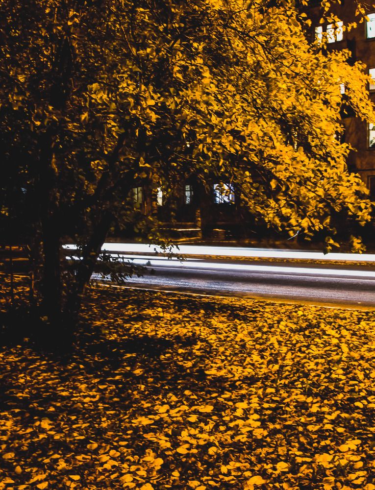 Photograph by Юлия