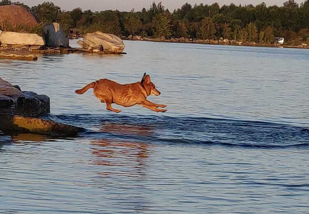 Прыжки с трамплина:)
