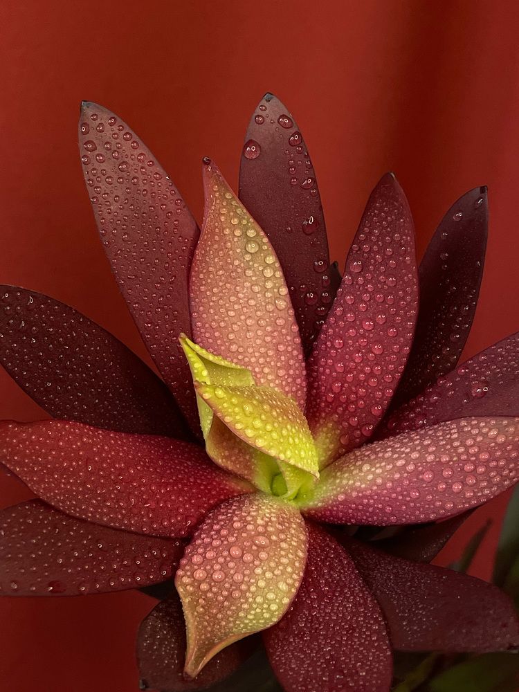 Фотография автора Рамзия Хисамутдинова