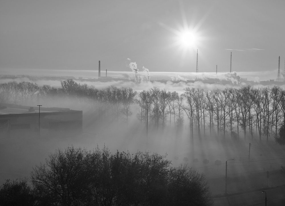 Photograph by Надежда Пухова