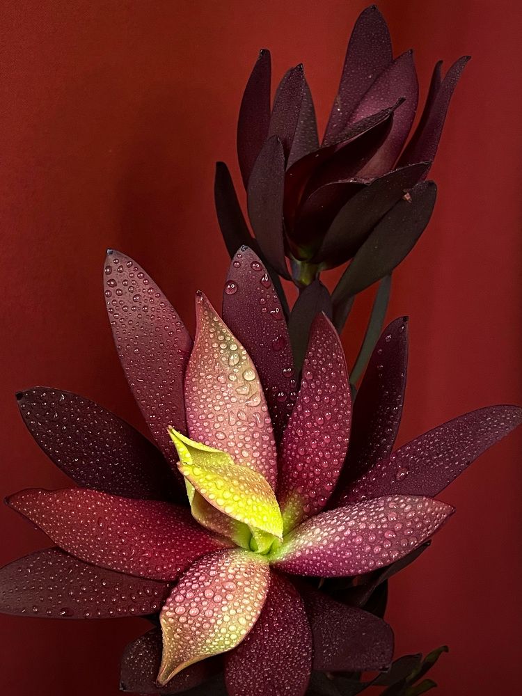 Фотография автора Рамзия Хисамутдинова