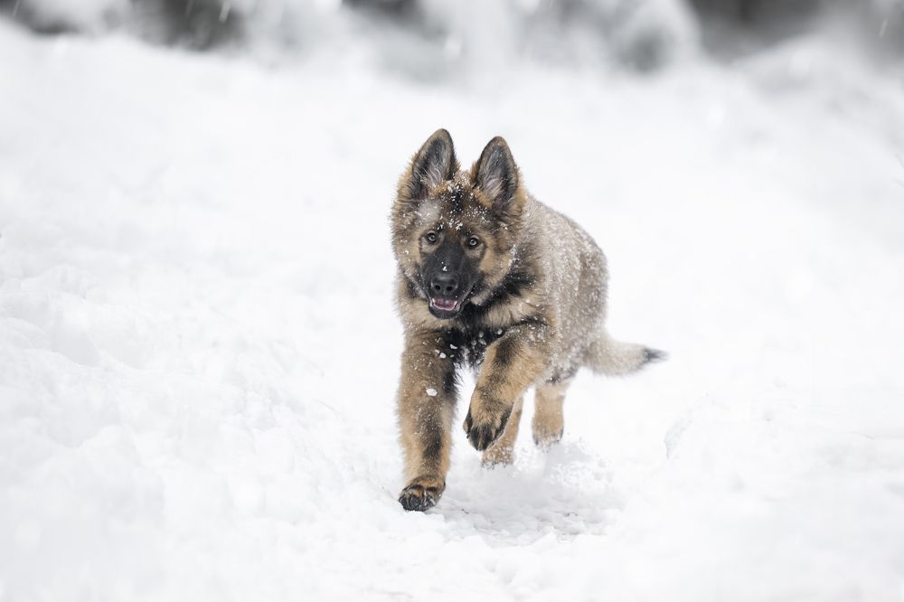 Photograph by Elke Braet