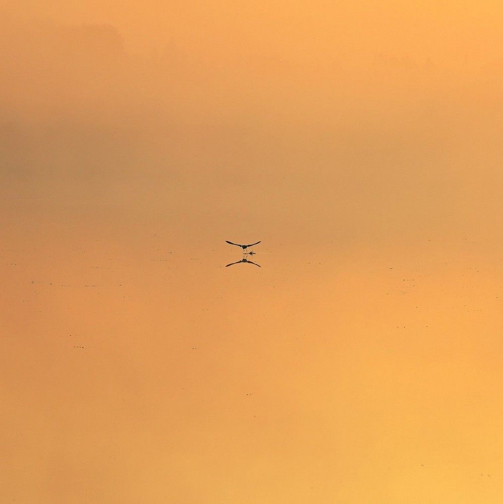 Photograph by Сергей Ключарёв