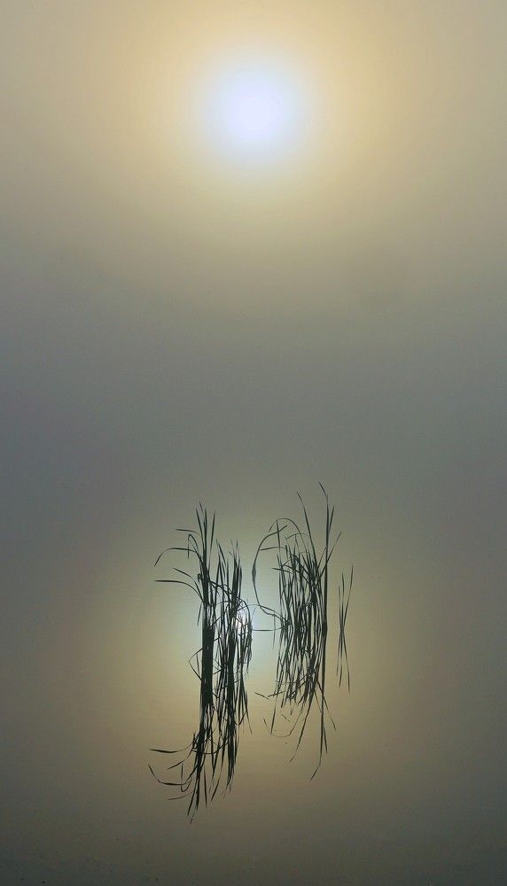 Photograph by Сергей Ключарёв