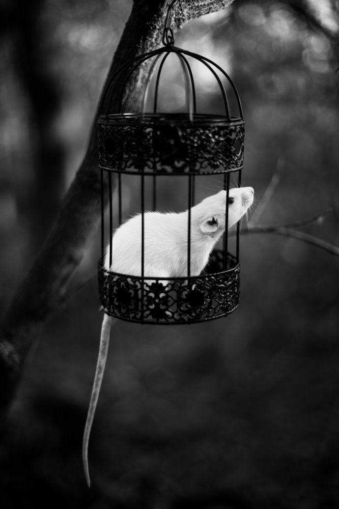 Photograph by Алексей Шевцов