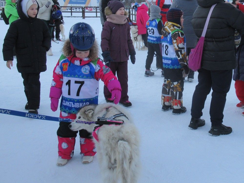 Photograph by Ольга Березовская