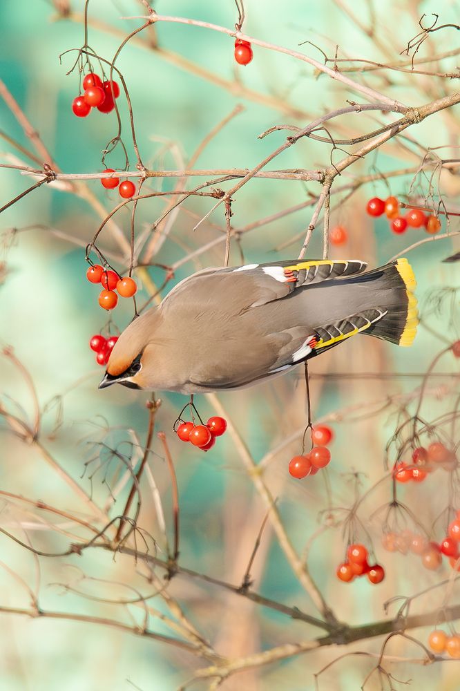 Photograph by Алёна Тиханович