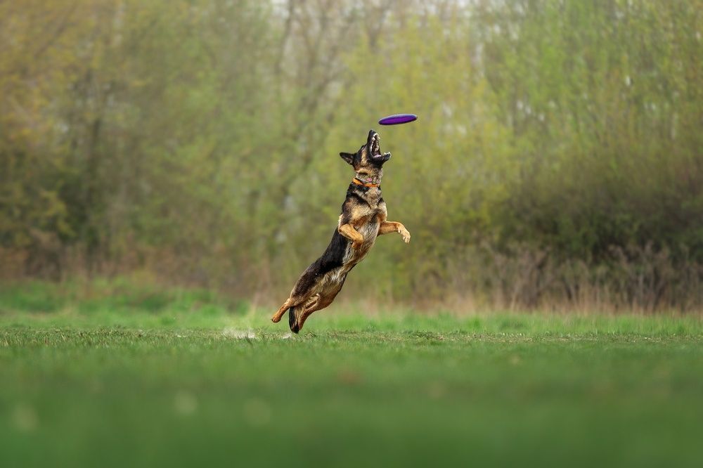 Photograph by Елизавета Романова