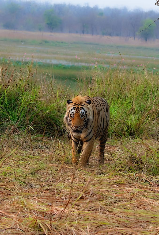 Photograph by Aniket Karane