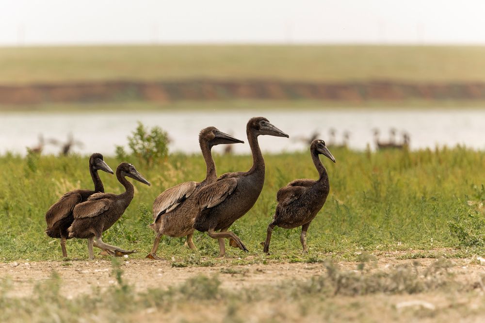 Photograph by Александр Ильин